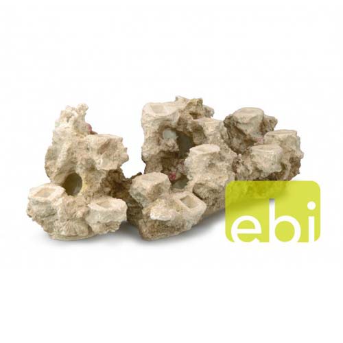 EBI AQUA DELLA CORAL REEF XXXL 65x25x21cm, for 15 corals